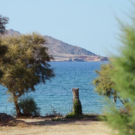 Seaside Paros - Naousa Exterior photo
